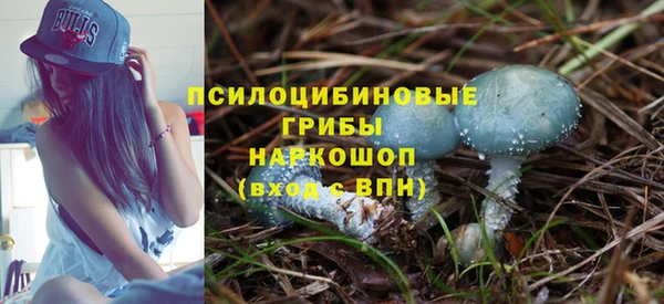 марки nbome Новодвинск