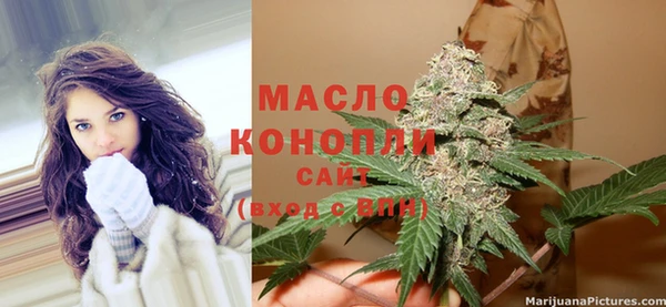 стаф Новокубанск