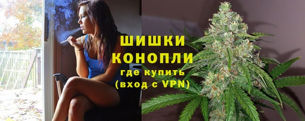 стаф Новокубанск