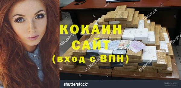 стаф Новокубанск