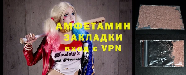 индика Бабаево
